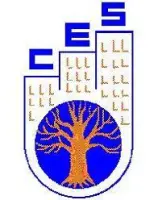 Community Enhancement Services College