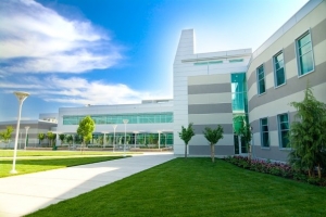 Los Medanos College