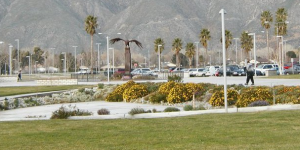 Mt San Jacinto Community College District