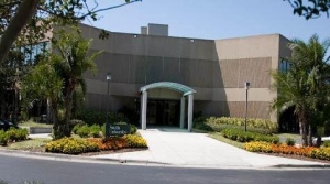 South University-Tampa