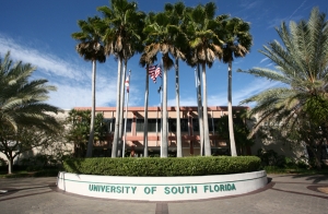 University of South Florida