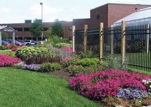 Rochester Community and Technical College