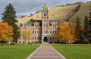 The University of Montana