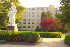 Mount Saint Joseph University