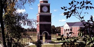 Union University