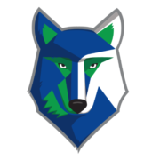 North Georgia Technical College Logo