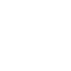 Washington State University Logo