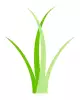 Wiregrass Georgia Technical College - Ben Hill-Irwin Campus Logo